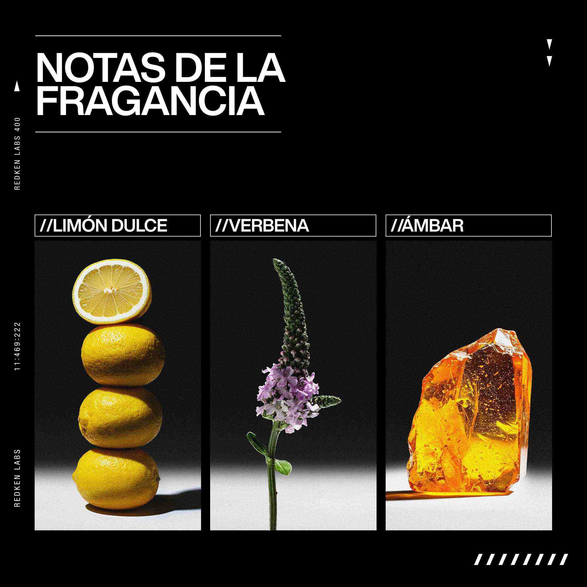 Imagen_9