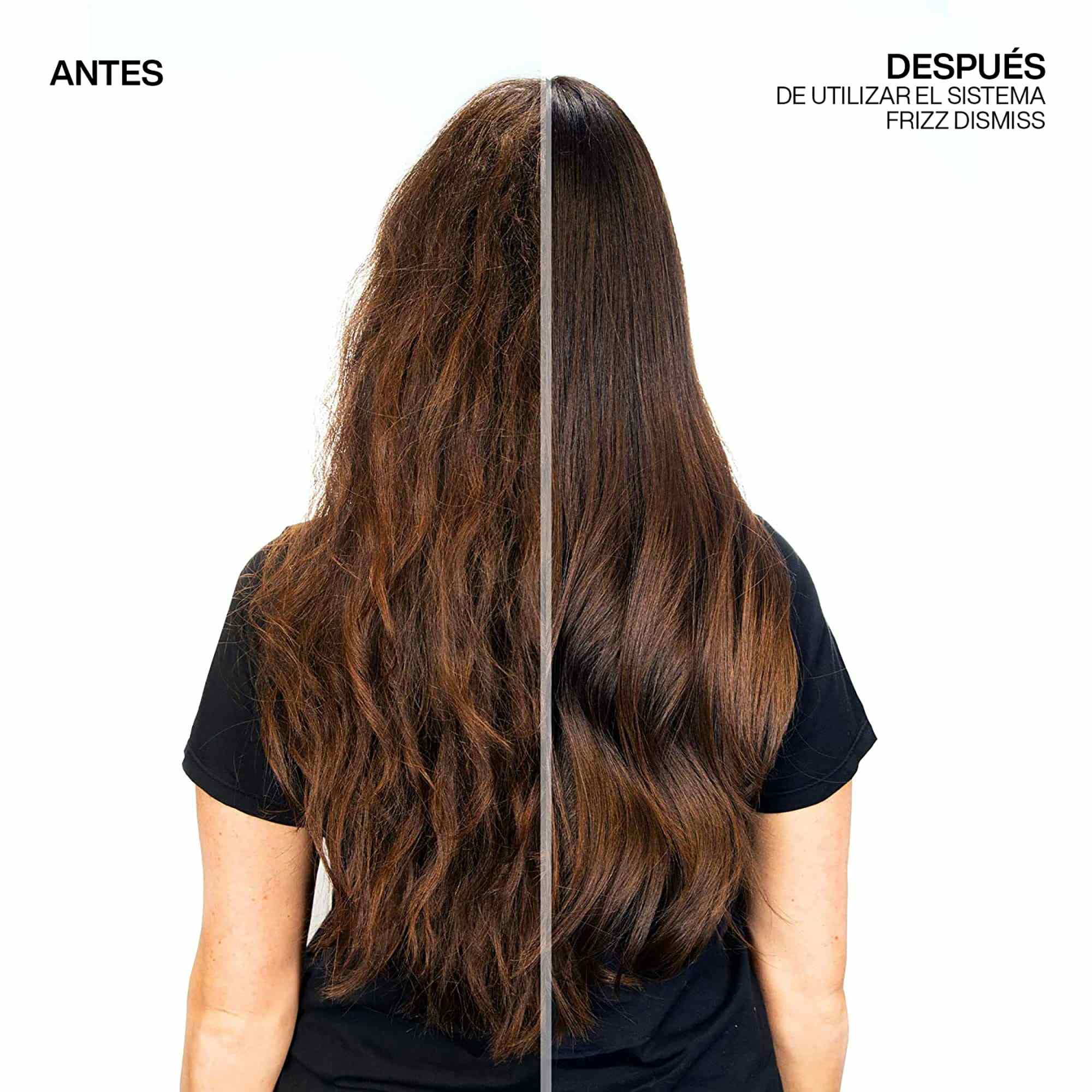Resultados Acondicionador para Cabello con Frizz Frizz Dismiss